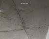 14.05.2023 - Треки и теневой натяжной потолоки Еврофлекси (EuroFlexy) - Фото №7