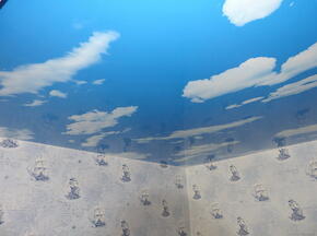 Натяжной потолок небо с облаками - Фото 18