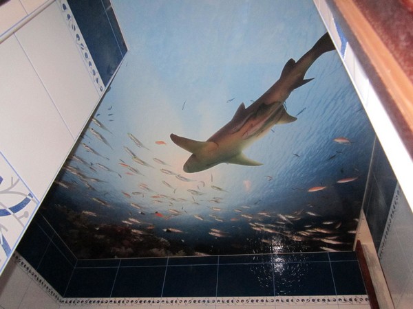 Натяжной потолок в ванной с фотопечатью - акула бороздит просторы моря