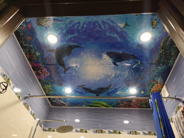 Натяжной потолок в ванной с фотопечатью - дельфины кружат у дна
