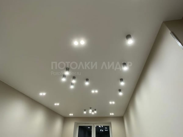Натяжной потолок с точечными светильниками (встроенными и накладными) – Фото 1