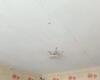 26.08.2023 - Белый-матовый натяжной потолок со скрытым карнизом на кухню - Фото №9