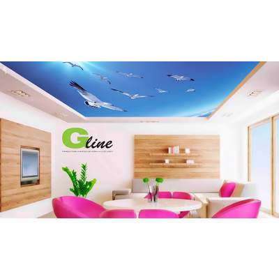 Китайские потолки G-line